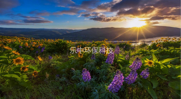 污水處理廠活性污泥法日常管理中，需要監(jiān)測與注意的參數(shù)-樂中環(huán)保