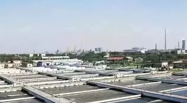 葉輪氣浮設備 葉輪氣浮設備