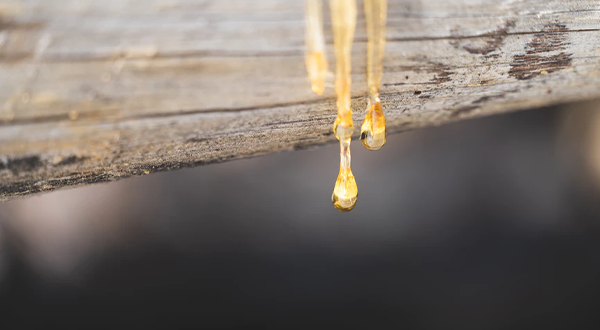 合成樹脂化工廠污水處理方法及原理分析-樂(lè)中環(huán)保