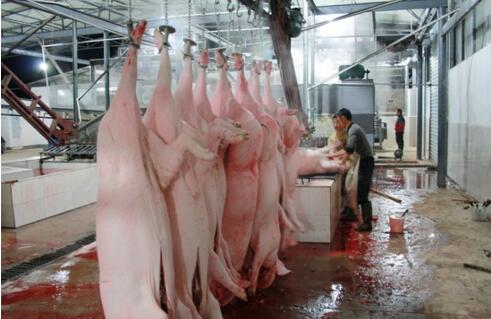 屠宰廢水處理方法有哪些？屠宰廢水處理設備價格？-01