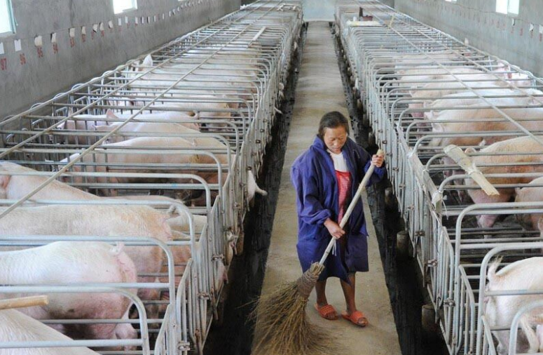 畜牧污水處理設備哪家好，養殖污水處理設備哪家好