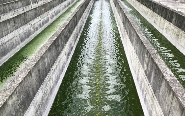 通過投入使用來減少廢水的成本 通過投入使用來減少廢水的成本