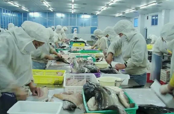 水產解凍清洗加工養殖廢水處理設備1 水產解凍清洗加工養殖廢水處理設備1