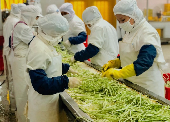 三種食品污水處理設(shè)備工藝流程,看看哪種適合您? 三種食品污水處理設(shè)備工藝流程,看看哪種適合您?