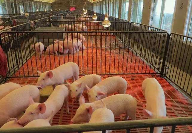 養豬場廢水處理設備（豬場污水處理豬場廢水處理設備）