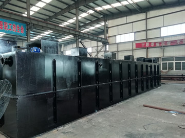 揭秘：海鮮加工廠如何有效處理清洗廢水？